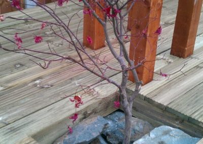 Carlton Colville decking project