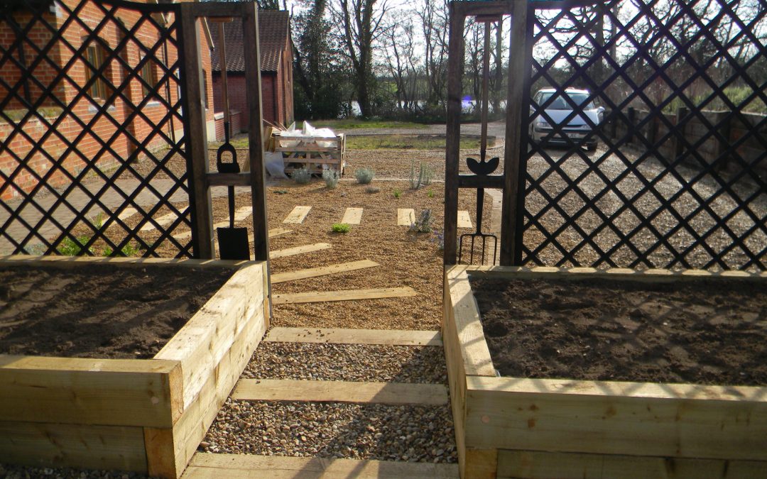 North Walsham low maintenance garden