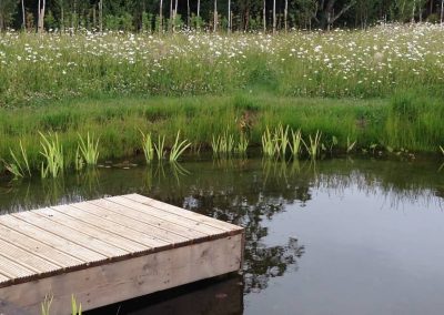 Garden Design Meadow Lawn with Jetty