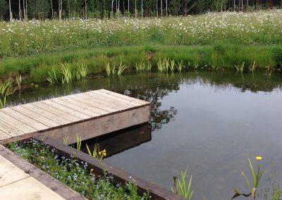 Wild garden design