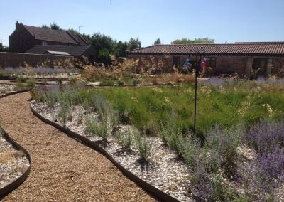Kings Lynn Large grasses garden