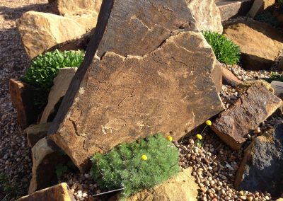 Alpines