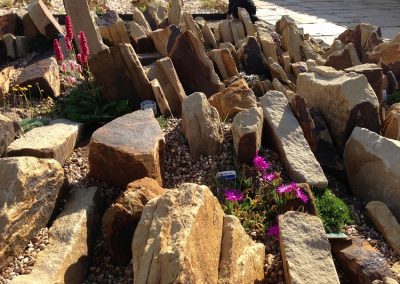 Sandstone rock garden