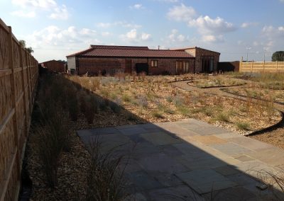 Patio view