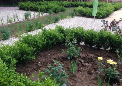 rose beds
