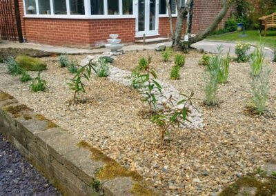 Low maintenance dry garden